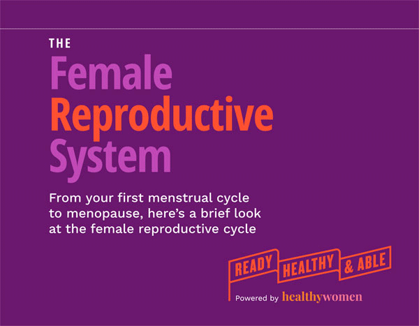 Female-Reproductive-Cycle